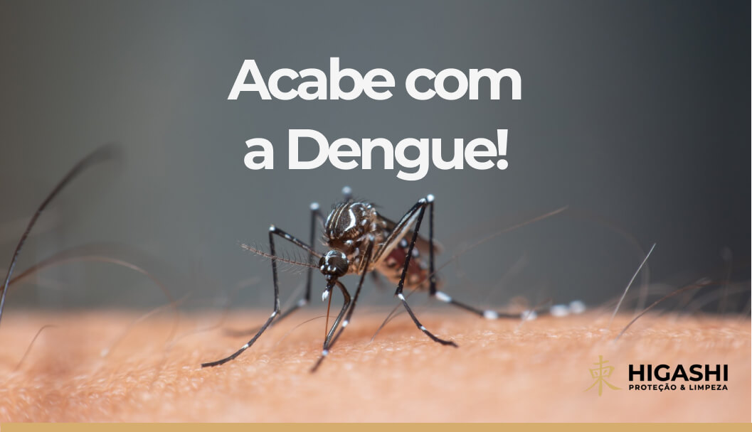 melhor-dedetizacao-contra-dengue